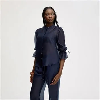 Sheer Blouson Sleeve Shirt