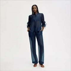 Sheer Blouson Sleeve Shirt